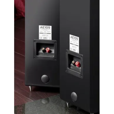 Напольная акустика Acoustic Energy AE 109 (2017) Satin Black